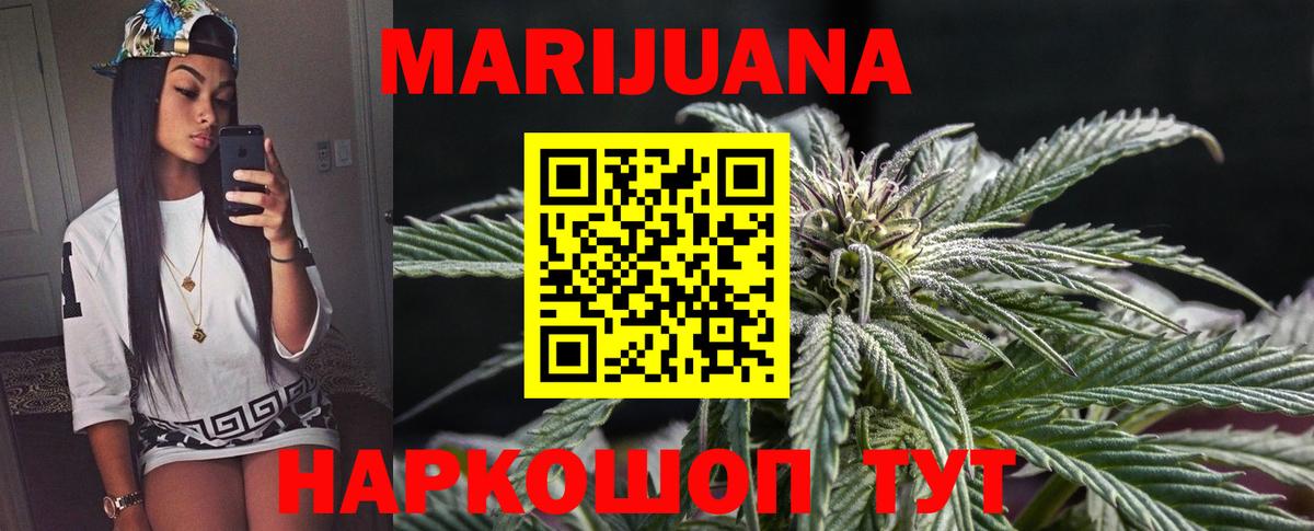 Бошки Шишки планчик  Бошки марихуана планчик  Тосно  Вход с VPN  Марихуана SATIVA & INDICA 
